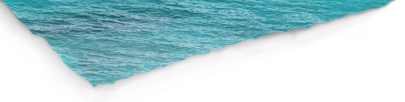 surface